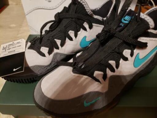 nike レブロン elephant atmos
