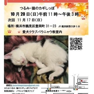 横浜　　つるみ・猫のカギしっぽ譲渡会　　JR鶴見駅西口歩5分　室内開催