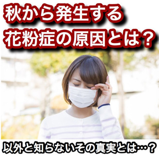 花粉症を治す簡単な方法 ドミノ 渋谷の美容健康の生徒募集 教室 スクールの広告掲示板 ジモティー