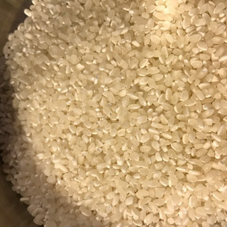 令和元年 愛知県産(常滑市) 無農薬、無化学肥料、稲架がけ天日干し