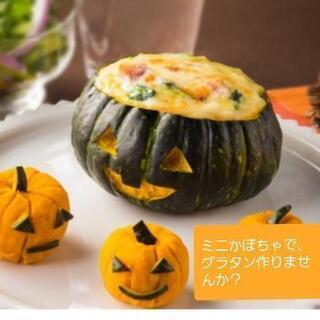 無農薬家庭菜園ミニかぼちゃ＼(^o^)／1個100円