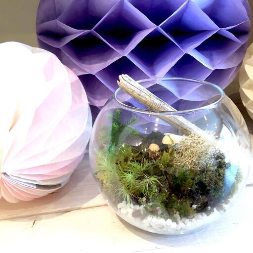 11 2 秋の苔テラリウム 浜離宮恩賜庭園 芳梅亭 コト コト ワークショップ 汐留のワークショップ のイベント参加者募集 無料掲載の掲示板 ジモティー