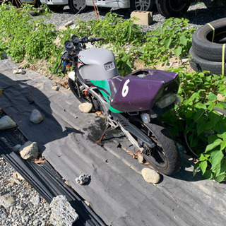 ns1 ベース 不動