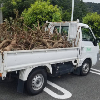 ★草刈り 木の伐採  先着3名様 6万円で仕上げます♪★