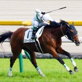 【初心者歓迎】🐎競馬グルチャのメンバー募集🐎【経験問わず】