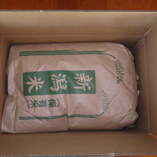 新米 令和元年産 新潟県中越産コシヒカリ玄米30kg 限定1個だけ