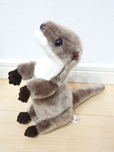 上野動物園カワウソぬいぐるみ チャコ 経堂のその他の中古あげます 譲ります ジモティーで不用品の処分 上野動物園カワウソぬいぐるみ チャコ 経堂のその他の中古あげます 譲ります ジモティーで不用品の処分