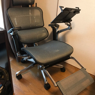 くつろぎやすい 高級椅子 フルオプション Ergohuman PRO(エルゴ