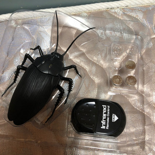 ゴキブリのおもちゃ ネジ穴ガバガバ 電池 L1154