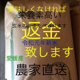 東温市南方 新米純こしひかり 30㎏ 玄米
