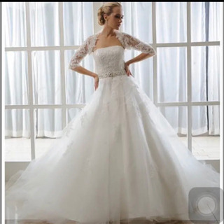 エニーブライダル ドレス パニエ付き エニーブライダル ドレス パニエ付き パニエ, ドレスバッグなど