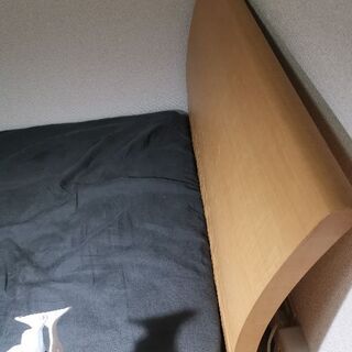 フランスベッド】購入価格15万円 中古 【公式通販】