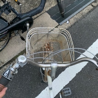 三輪自転車  高齢者