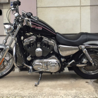 HARLEY-DAVIDSON ハーレーダビッドソン スポーツスター XL1200C カスタム車 車検Ｈ32年11月、動画あり HARLEY-DAVIDSON ハーレーダビッドソン スポーツスター XL1200C