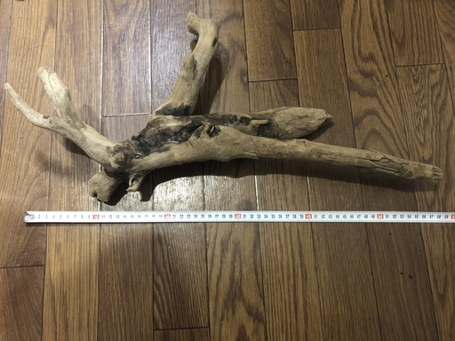 流木アクアリウム等塩抜き天日干し済み ショー 京成大久保のその他の中古あげます 譲ります ジモティーで不用品の処分