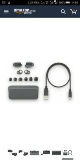 Sony ソニー WF-1000X Black \n\n