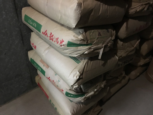 平成３０年度産　無農薬　あいちのかおり　玄米３０ｋｇ　在庫処分（のこり２本）