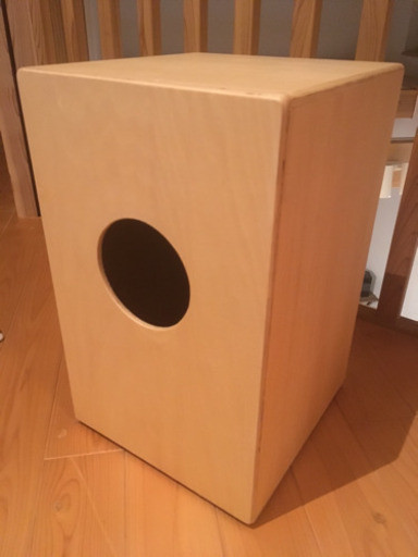 カホン【ソフトケース付き】 | hubcovid.org.br