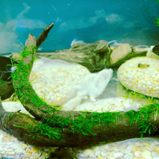 水槽　14点セット　×2倍！　　　二個セット！