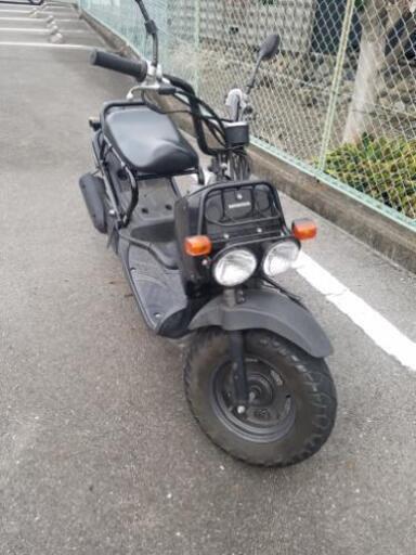 HONDA ズーマー50