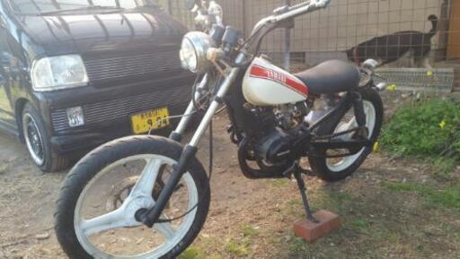 終了】YAMAHA Ty50 【公式通販】