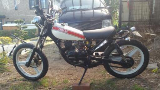 終了】YAMAHA Ty50 【公式通販】
