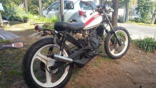終了】YAMAHA Ty50 【公式通販】