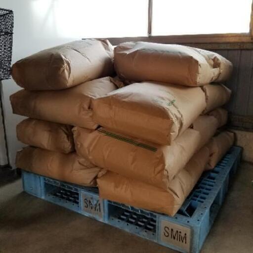 新米 ハツシモ 玄米 30kg