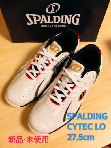 SPALDING CYTECLO (スポルディング サイテックロー)