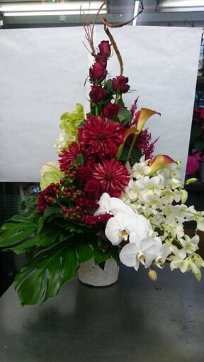 お花好きな方 大歓迎 初めて花屋さんで働く方大歓迎 お花の好きな方年齢不問です 中野生花店 京王稲田堤の花屋 の無料求人広告 アルバイト バイト募集情報 ジモティー