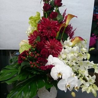 お花好きな方 大歓迎 初めて花屋さんで働く方大歓迎 お花の好きな方年齢不問です 中野生花店 京王稲田堤の花屋 の無料求人広告 アルバイト バイト募集情報 ジモティー