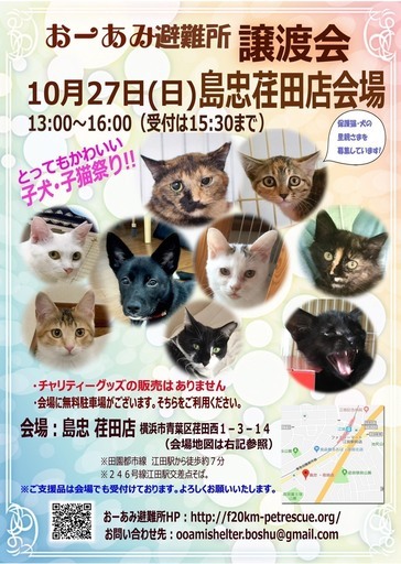 10 27 日 おーあみ避難所里親会 In 島忠 荏田店 おーあみ避難所 江田のその他のイベント参加者募集 無料掲載の掲示板 ジモティー