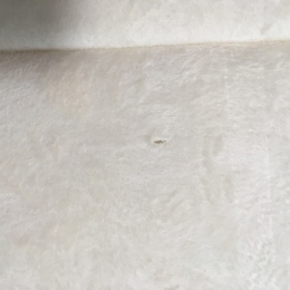 食パンソファベッド