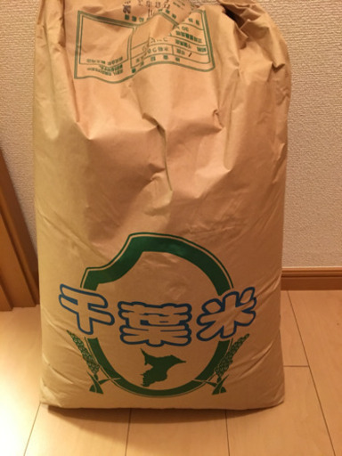 千葉県産新米コシヒカリ  30キロ 玄米  格安7000円