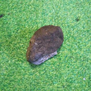 博物館職員さんからすごい高い値が付きました鉱石です！！