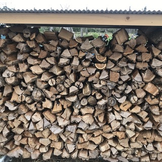 薪　ニセアカシア　春伐採　水分15％　引き取り限定 薪 ニセアカシア 春伐採 水分15％ 引き取り限定