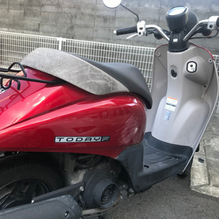 原付(走行距離6500km!)ホンダ トゥデイF | ega.org.eg