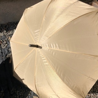 【交渉中】傘