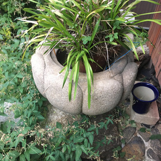 【大幅値下受付中】面白い手水石です。