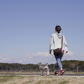 川崎市でペットシッターになりませんか？長年の経験に基づくノウハウの提供や保険の適用があり安心して営業できます。 - 川崎市