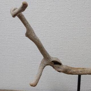 流木オブジェ・アート