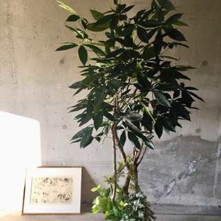 光触媒 人工観葉植物 パキラ1.8メートル