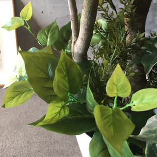 光触媒 人工観葉植物 パキラ1.8メートル
