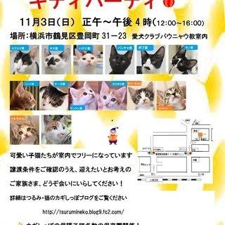 横浜　つるみ・猫のカギしっぽ譲渡会　　JR鶴見駅西口歩5分　室内開催　