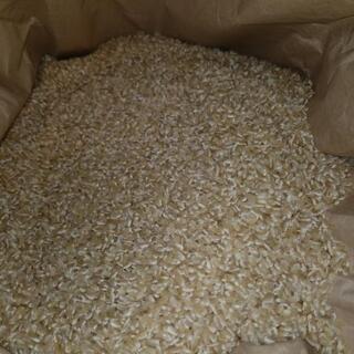 炊きたて艶々❗兵庫県小野市産ヒノヒカリ玄米30キロ