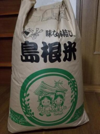 新米 コシヒカリ 玄米30キロ