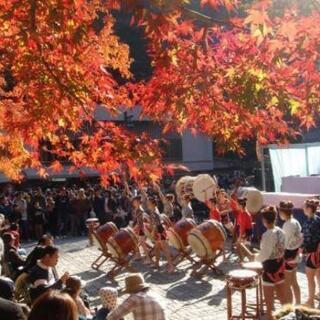 高尾山紅葉祭り11月16日か17日