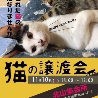 猫の譲渡会　in尾張旭市北山集会所