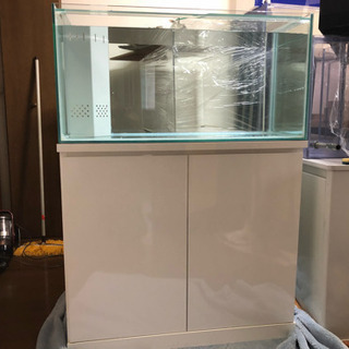 ガラス水槽オーバーフローセット。綺麗です。900.450.450