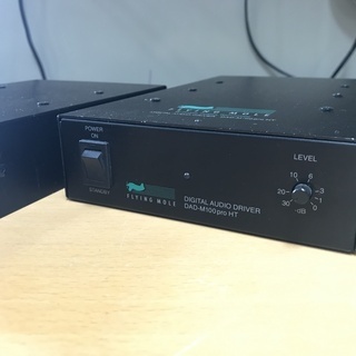 【FLYING MOLE DAD-M100Pro HT フライングモール　デジアン　ノイズあり　音出し確認済み　ペア連番　中古】